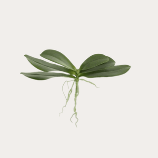 Orchid Foliage - Artificial